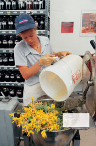 Plant Medicine: Herbal Extraction Methods Image